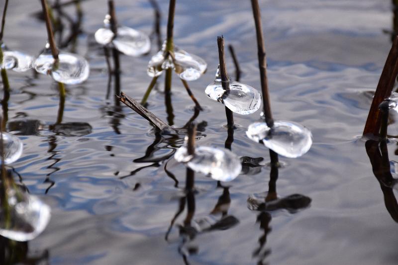 Les premières glaces sur le lac