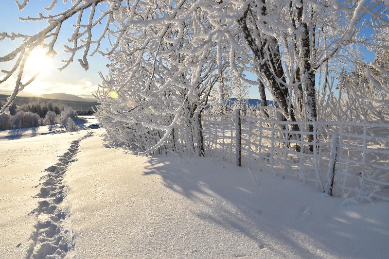 Des traces de pas dans la neige