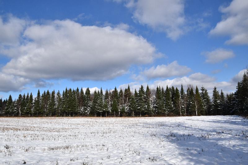 La première neige à l'automne