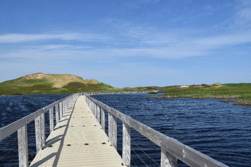 La passerelle sur l'étang