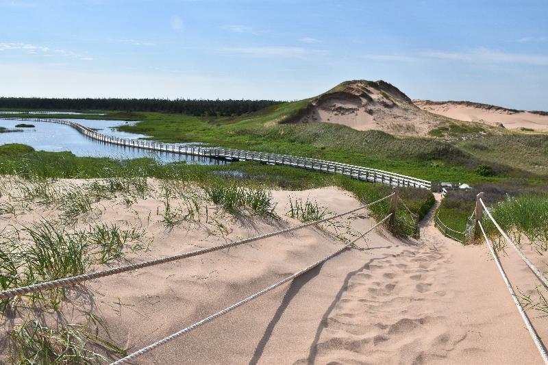 Un sentier du parc en été