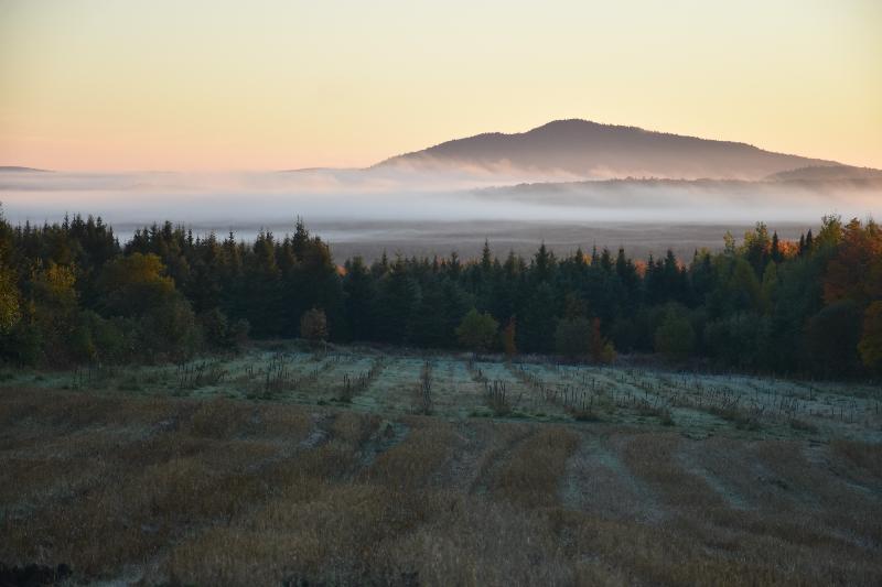 Un brouillard un matin d'automne