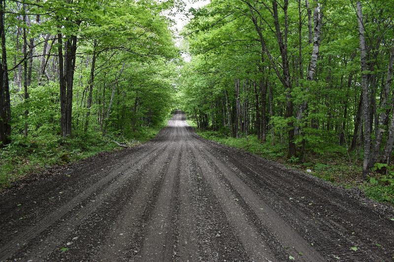 Une route de campagne en été