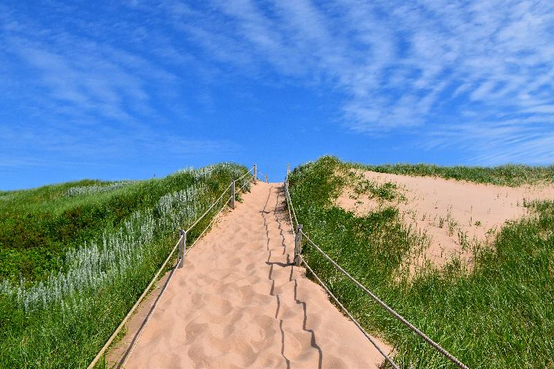 Un sentier du parc en été