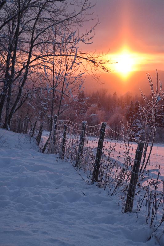 Un lever de soleil un matin froid