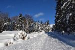 Une route de campagne en hiver