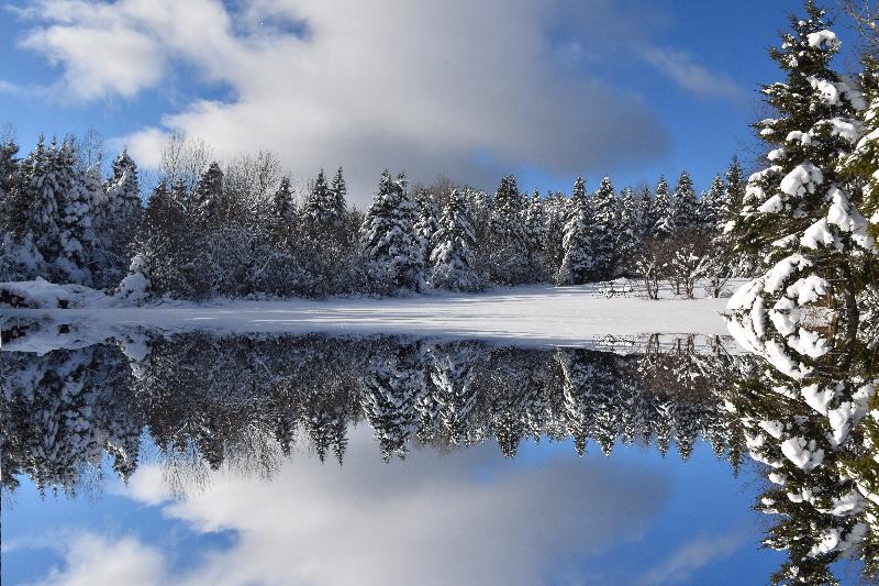 Reflet sur le lac en hiver