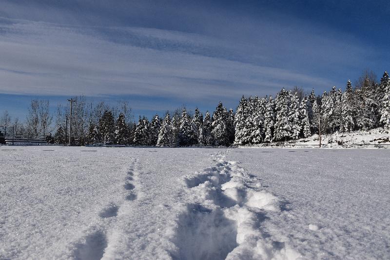 Des traces de pas dans la neige