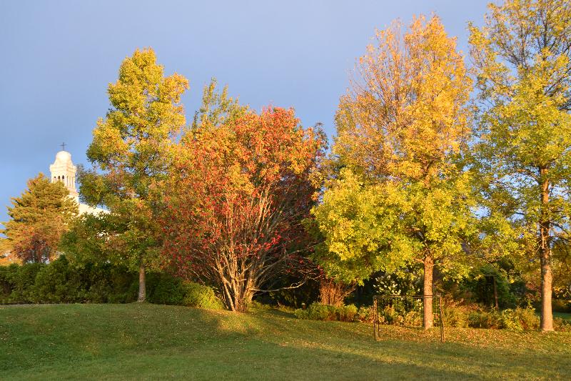 La cour de l'école à l'automne