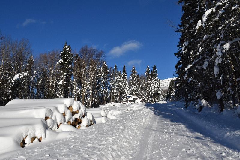 Une route de campagne en hiver