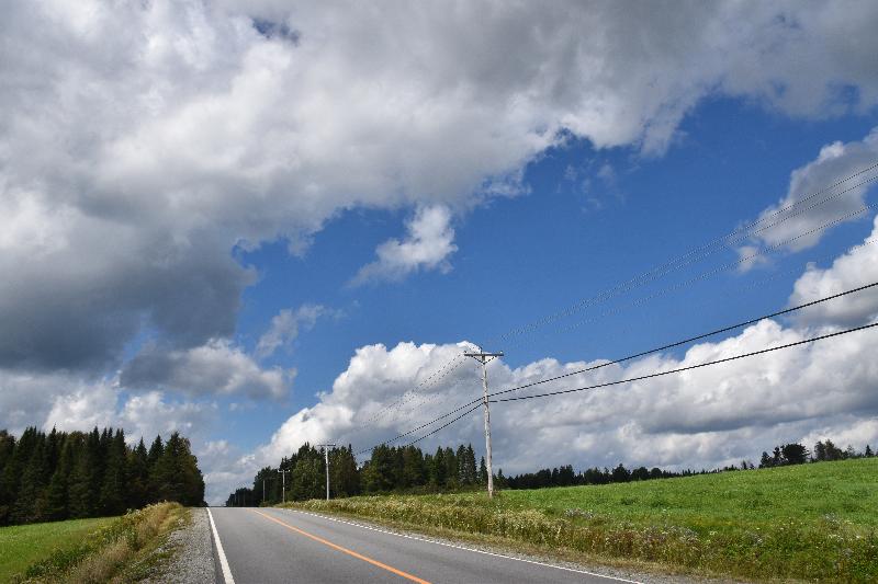 Une route de campagne en été