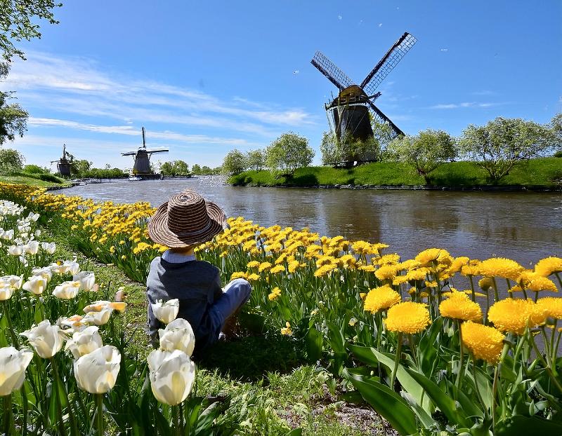 Un enfant dans un champ de fleurs au printemps