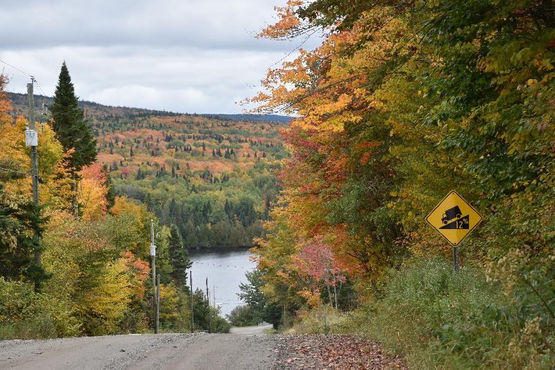 La route du lac à l'automne