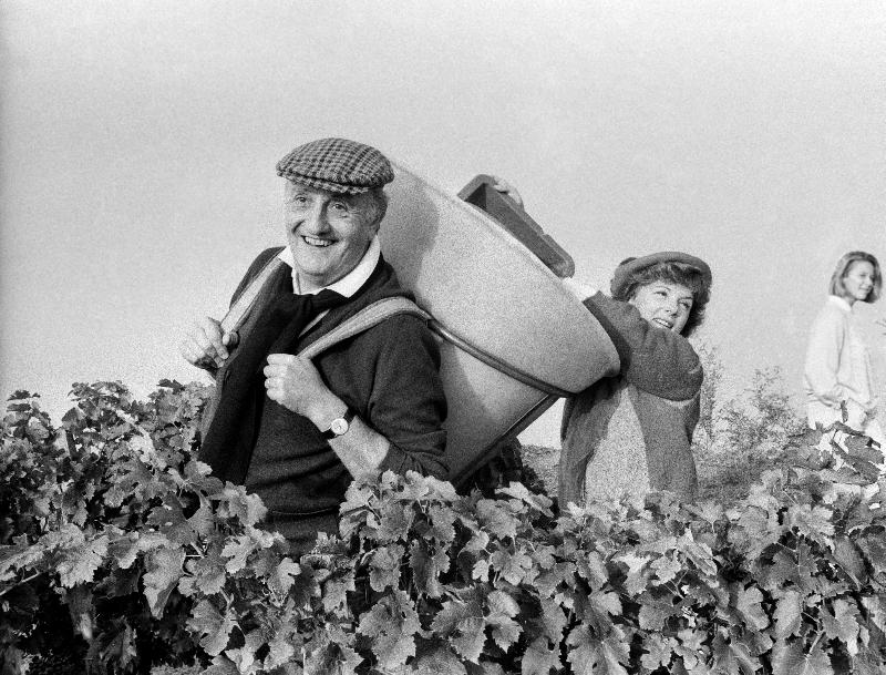 Photo Pierre Tchernia lors de la vendange à Libourne, France, septembre 1986