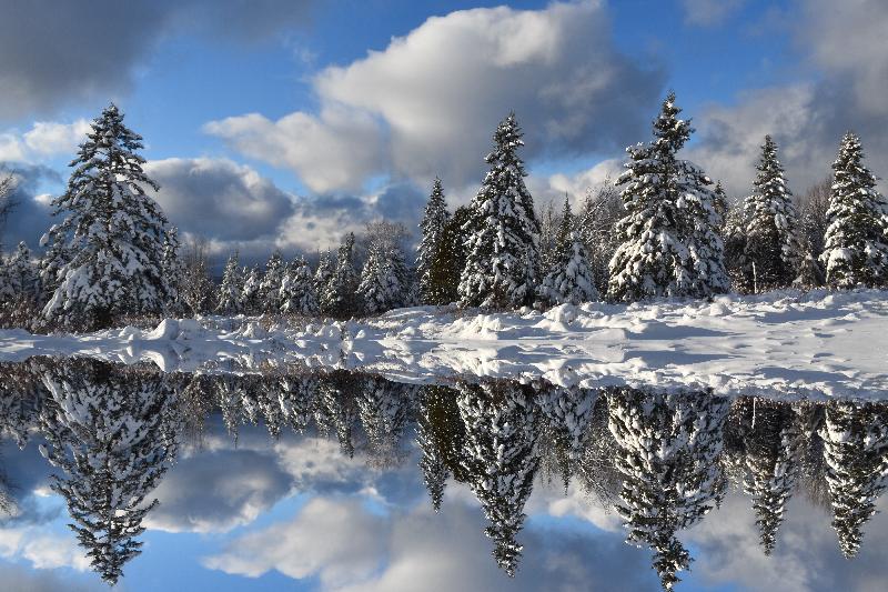 Reflet d'hiver sur le lac