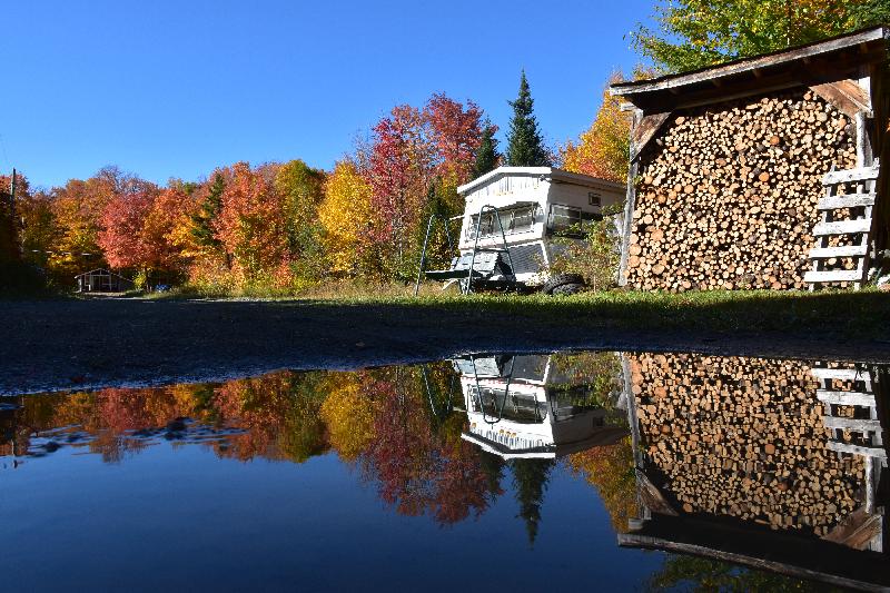 Reflet d'automne à l'érablière