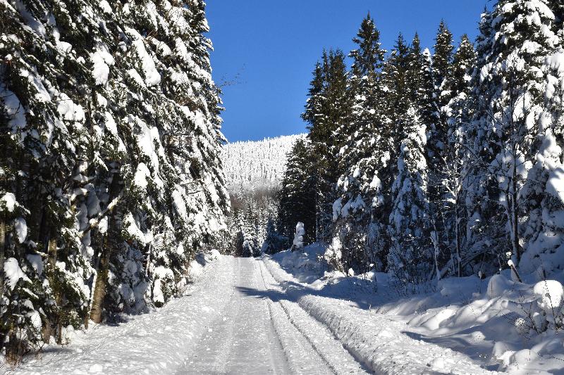 Une route de campagne en hiver