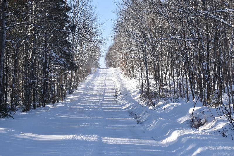 Une route de campagne au printemps