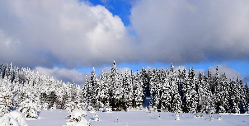 Le sommet de la montagne enneigée