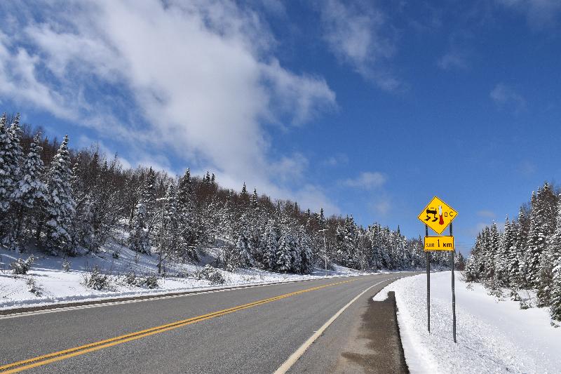 Une route de campagane au printemps