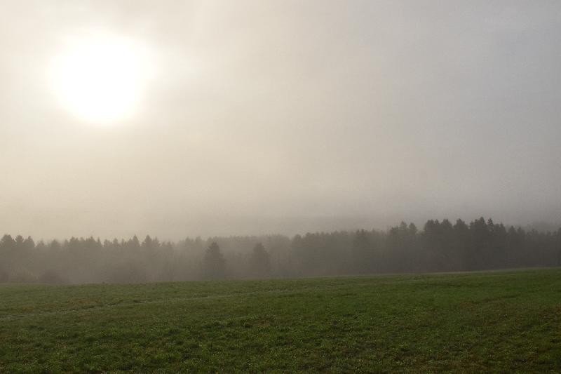 Un brouillard un matin de printemps