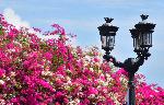 Un lampadaire de la ville