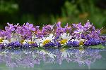 Un bouquet de fleurs au jardin
