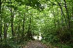 Une route de campagne en été