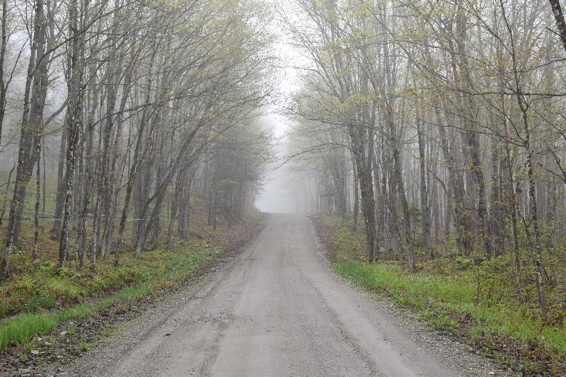 Une route de campagne au printemps