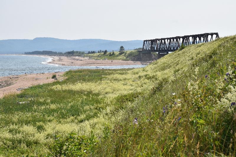 La plage et le vieux pont