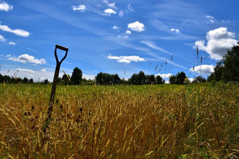 Une ferme en été