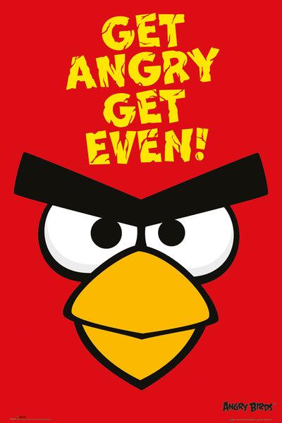 Affiche du jeu vidéo Angry Birds